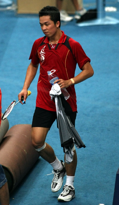 日本羽毛球队血洗中国羽毛球队，陶菲克制霸全场的简单介绍